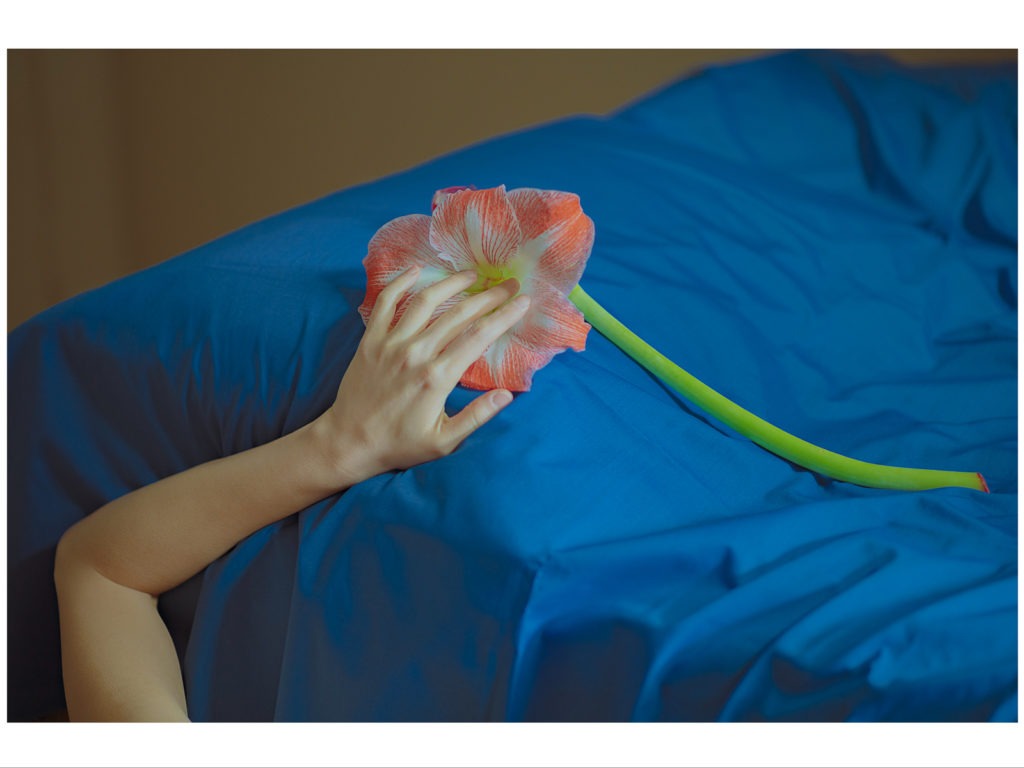 218_CathereneLee_vignette1