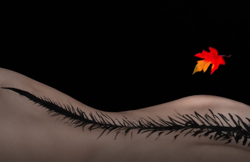 218_Omarbendaoud_Vignette_04