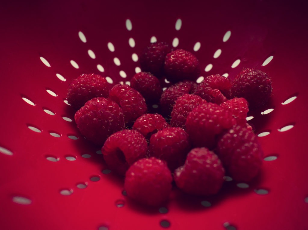 317_Gomez_Vignette-3