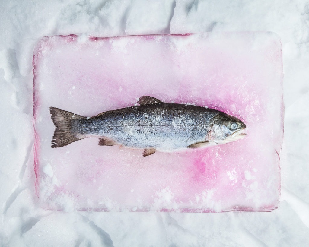 Photographe culinaire