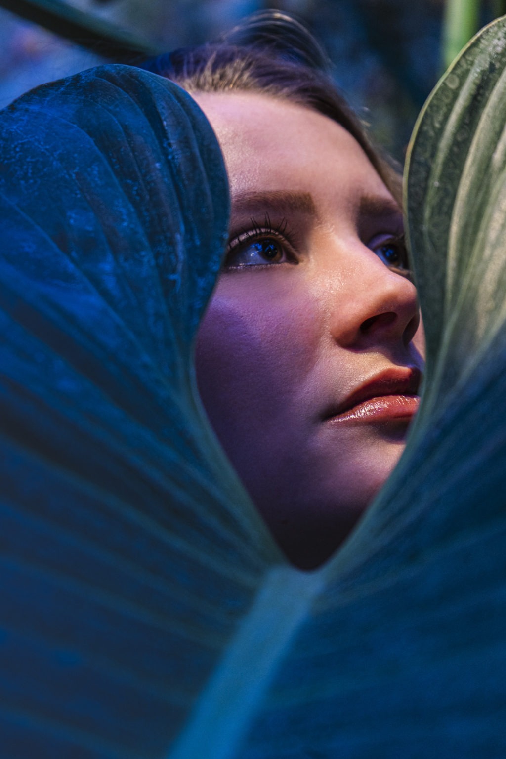 118_Lavallée_vignette06-2