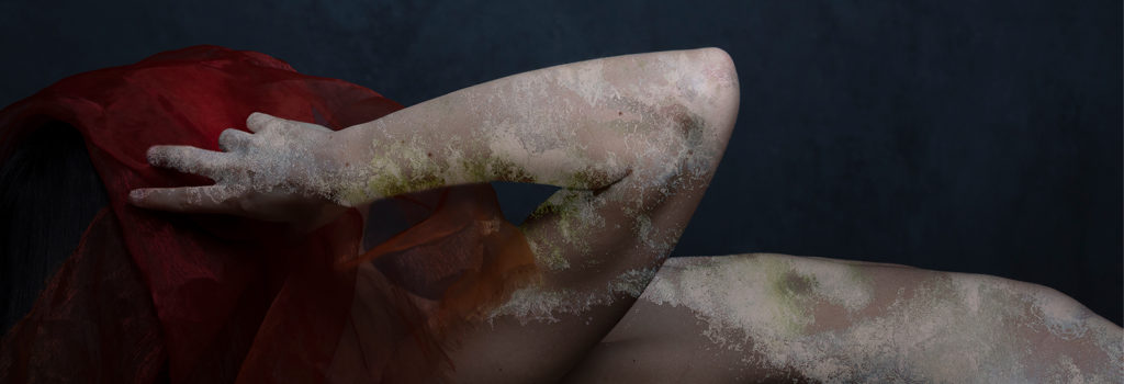 219_josé guiet_vignette03-04