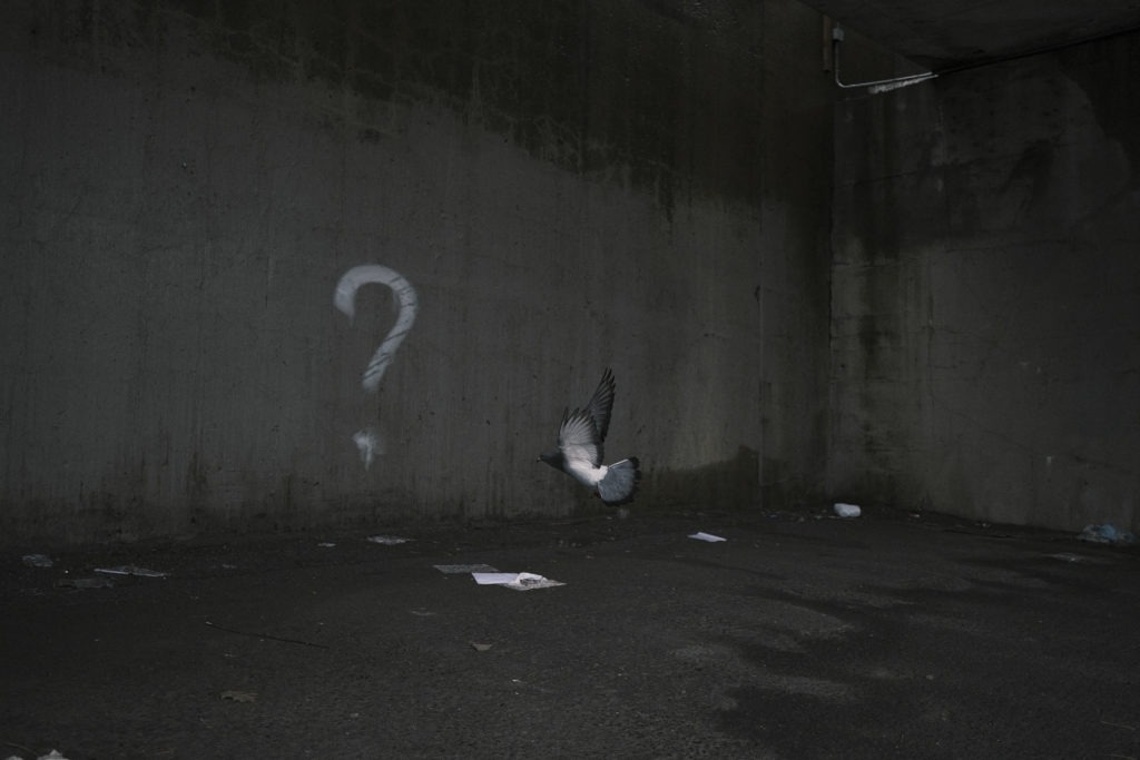 219_philippe caron_vignette05