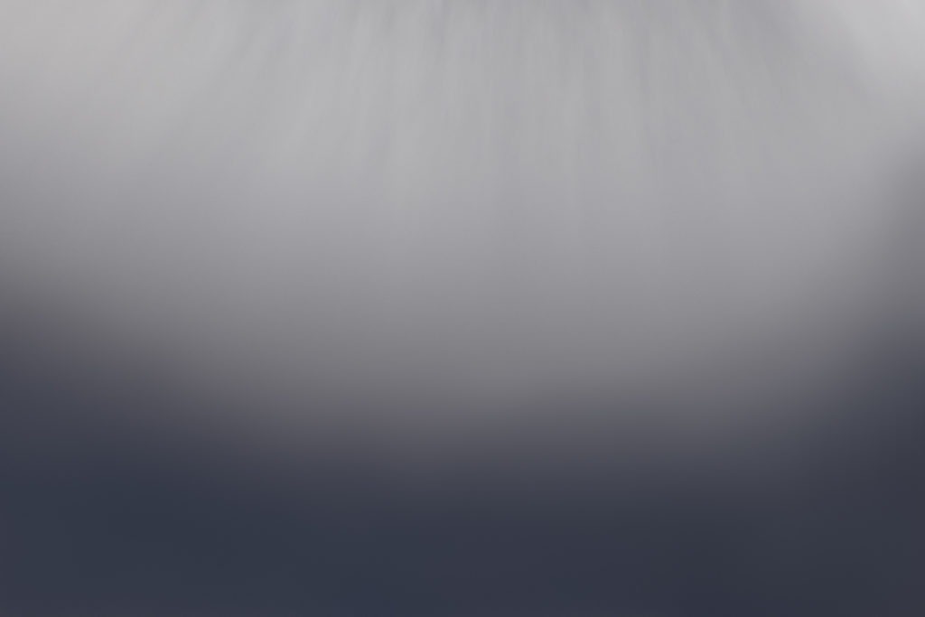 119_nancyhamel_vignette-6