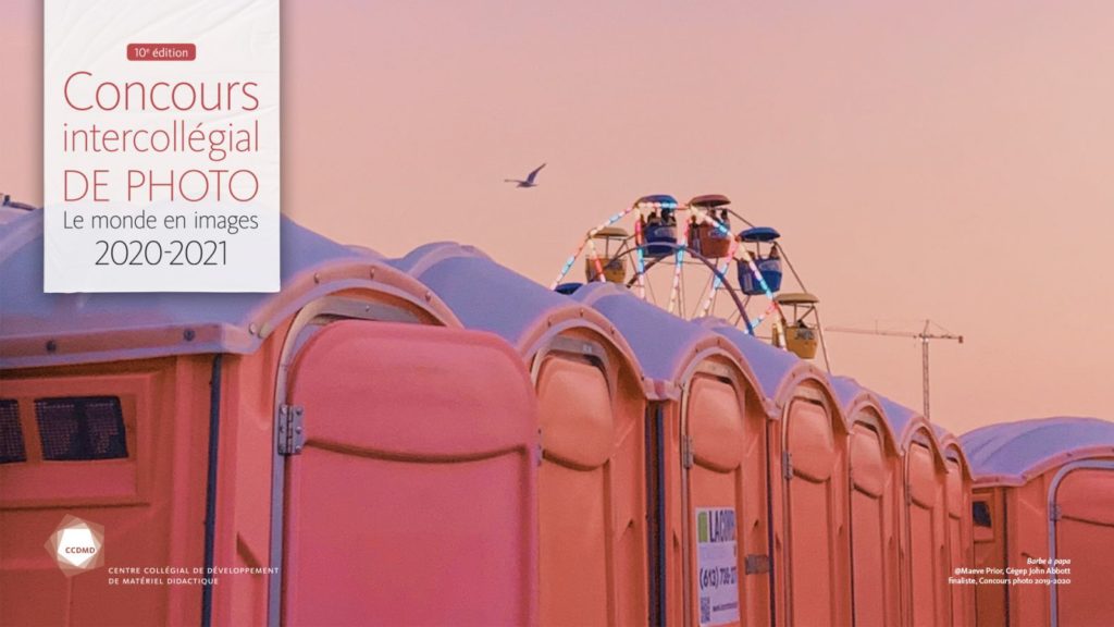 Les diplômé·e·s de Marsan remportent le concours « Le monde en images »