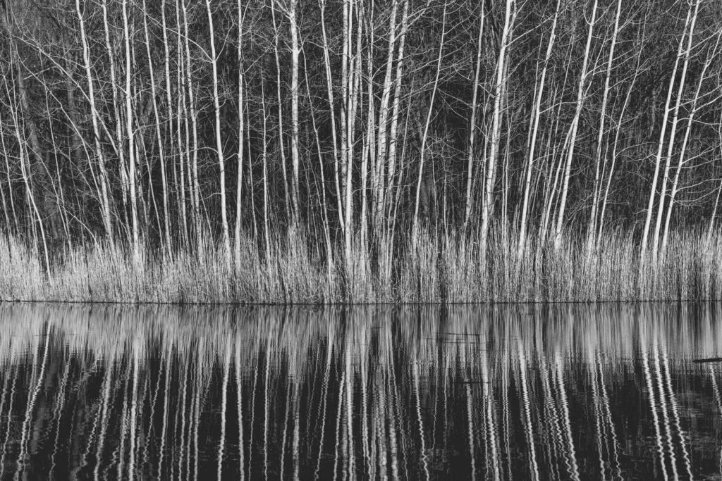 719_Duriau_vignette04