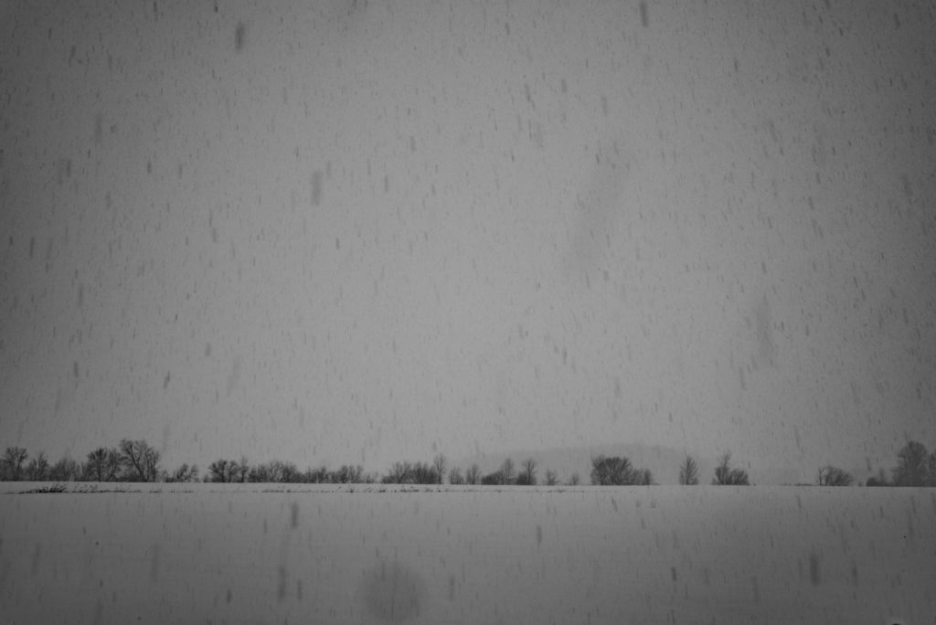 719_gokcin_vignette01
