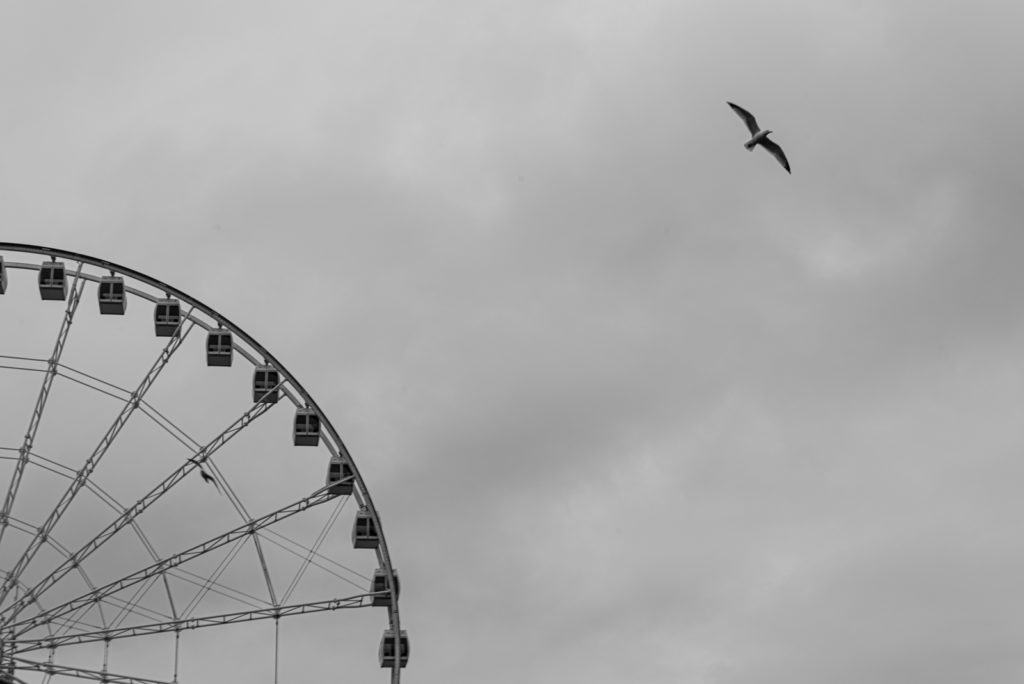 719_gokcin_vignette02