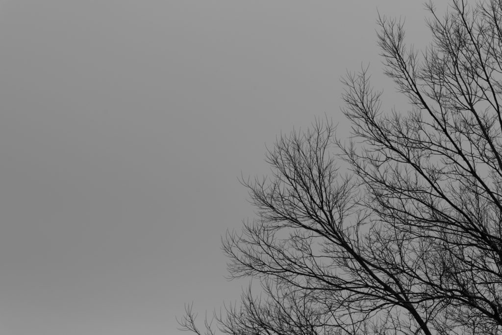719_gokcin_vignette04