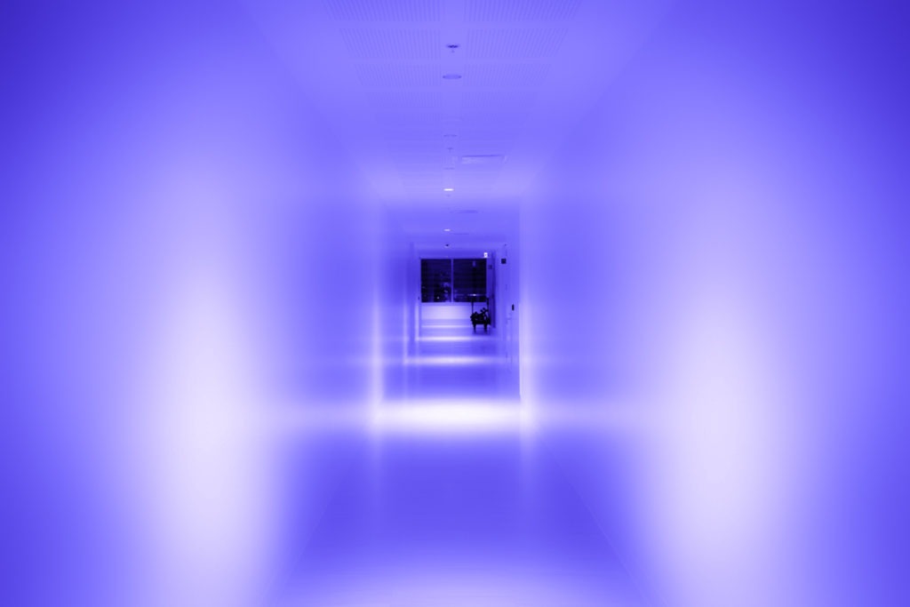 319_warrendavid_vignette05