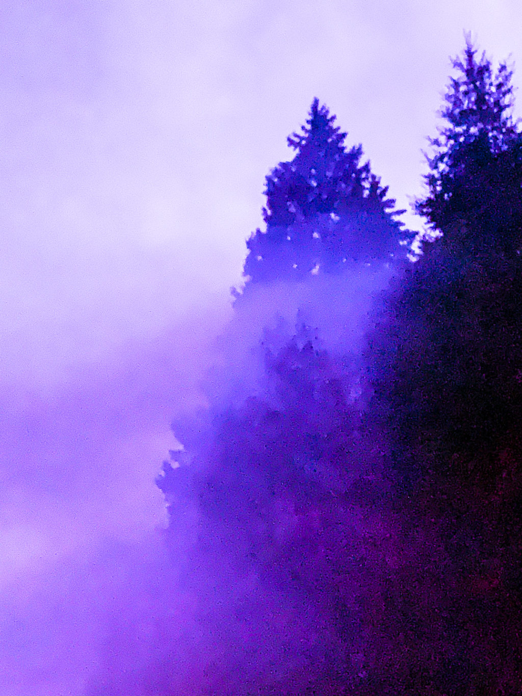 319_warrendavid_vignette06