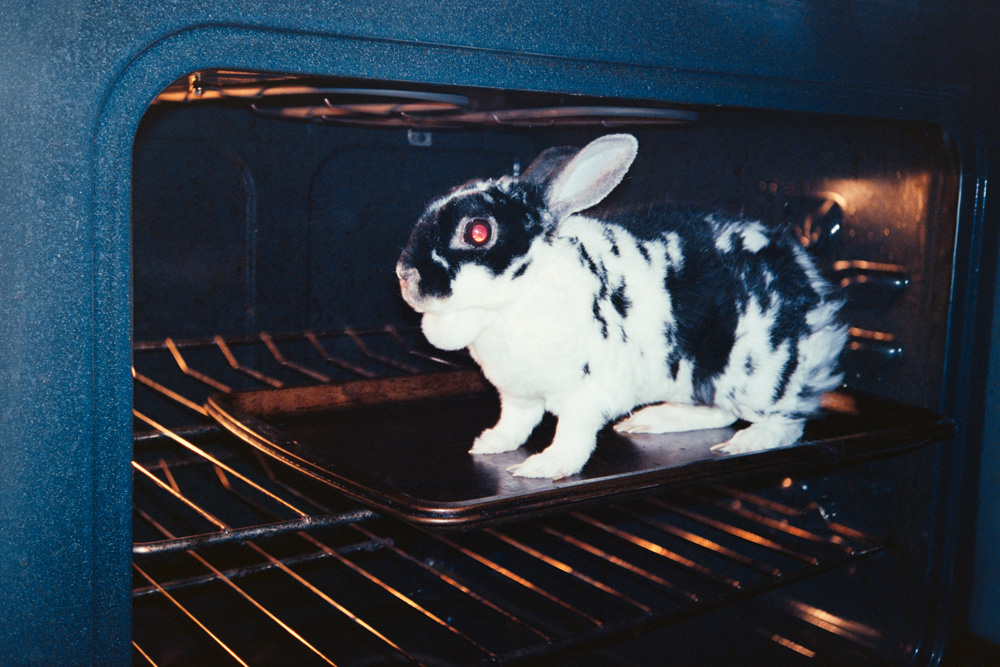 120_Dupuis_vignette2