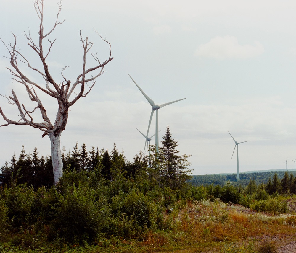 120_Dupuis_vignette4