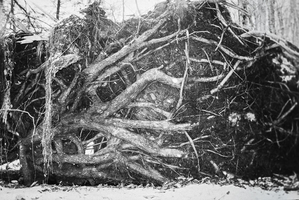 6_meilleures_photos-4