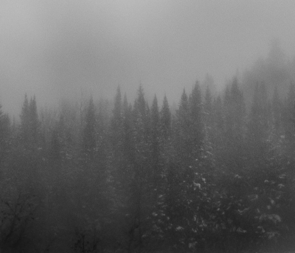 221_SOREL_vignette03