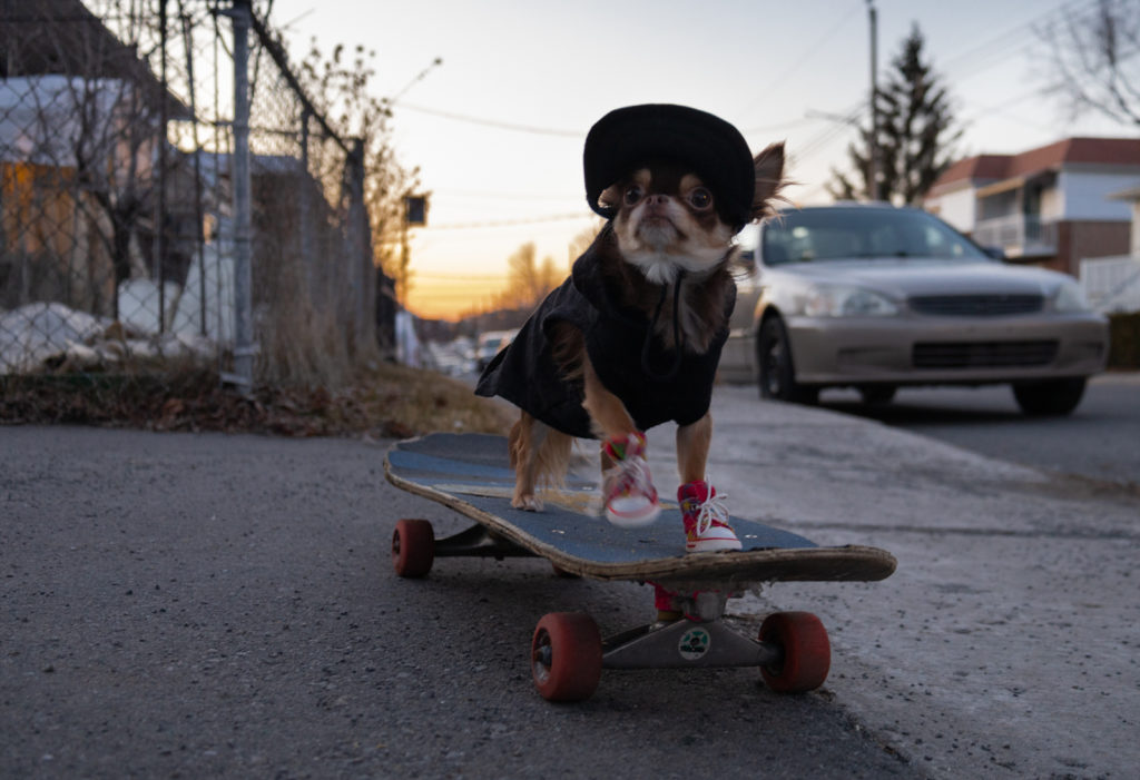 221_ShakiraAbad_vignette03