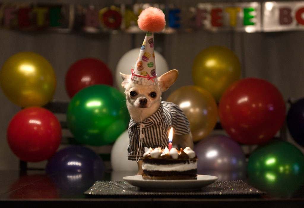 221_ShakiraAbad_vignette04