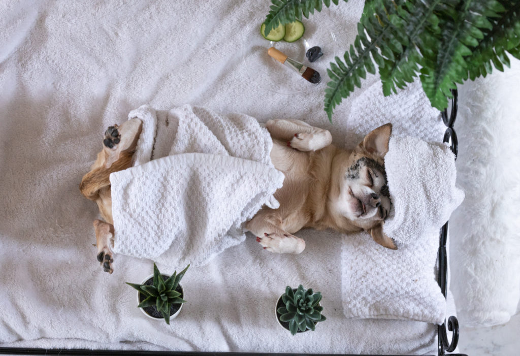 221_ShakiraAbad_vignette05