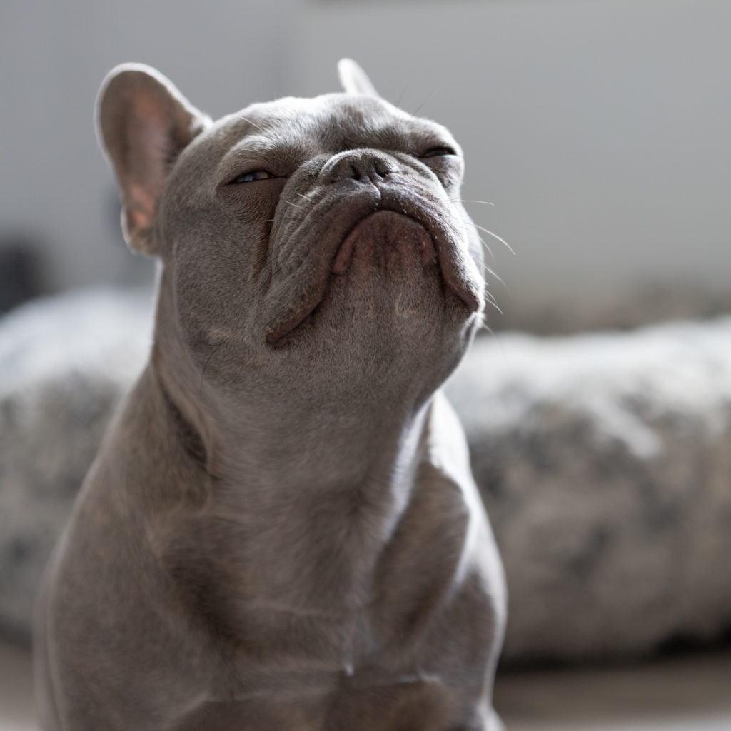 221_ShakiraAbad_vignette06