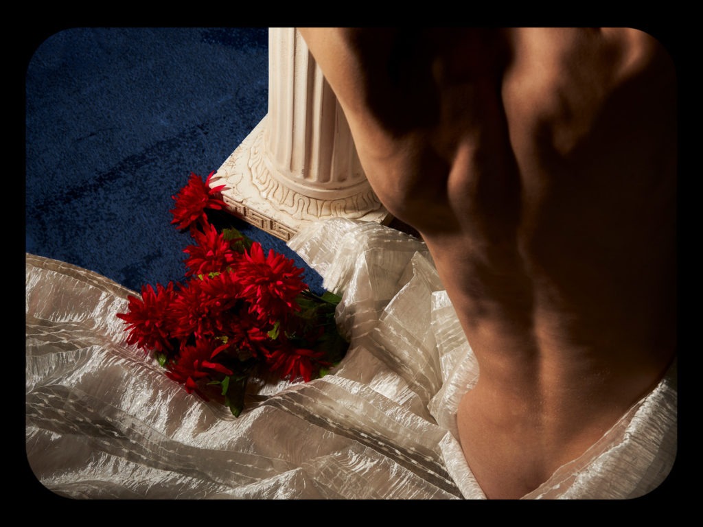 121_DeVriese_Vignettes02