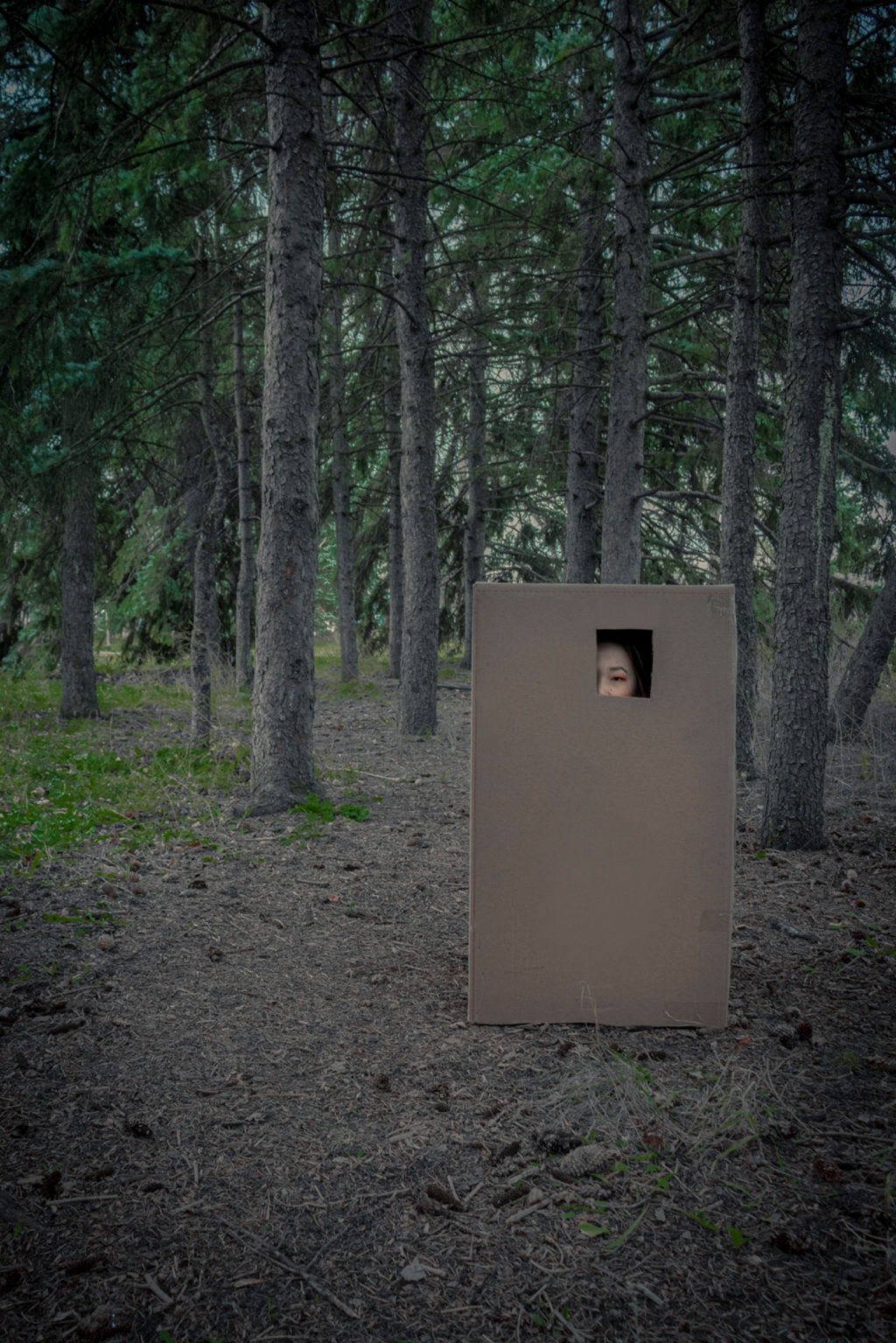 121_pénélopesimard_vignette04