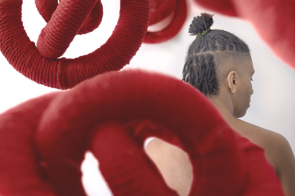 222_Boucher_Vignette_04