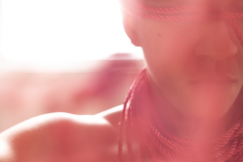 222_Boucher_Vignette_05