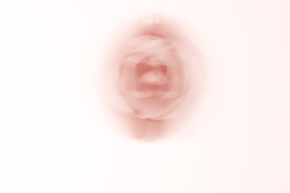 222_Boucher_Vignette_06