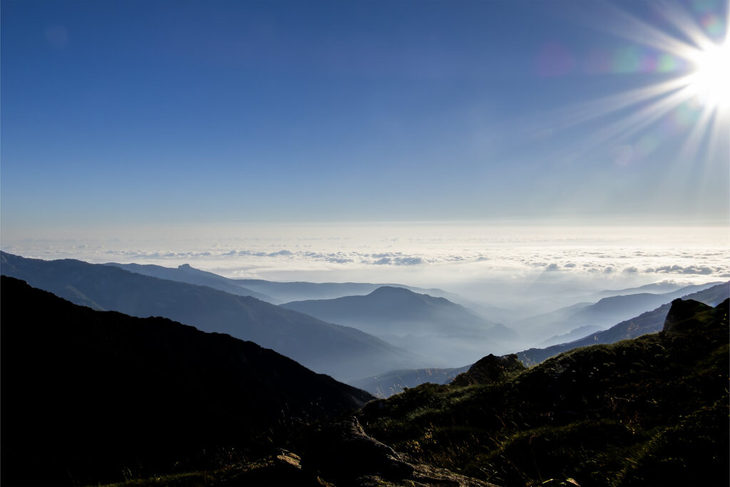 Exposition de mi-session du groupe 223 !