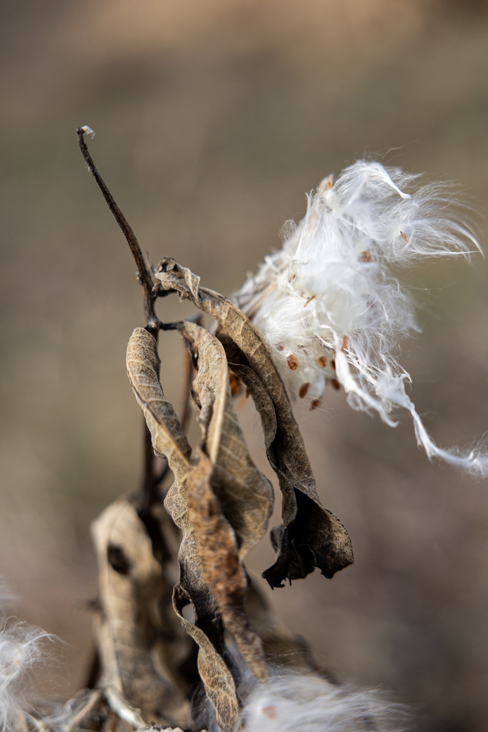 122_EmilieTexier_vignette03