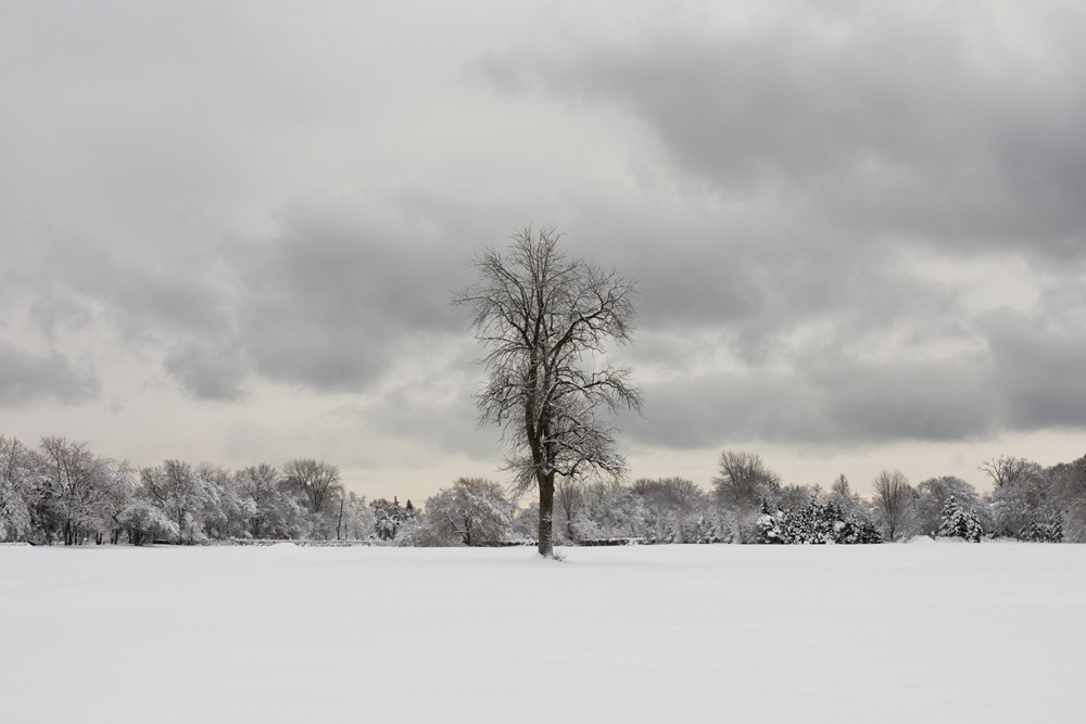 122_EmilieTexier_vignette05