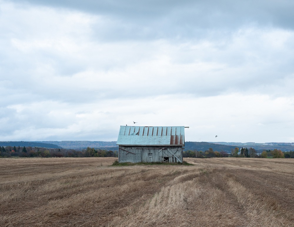 122_Fautsch Zertuche_vignette01