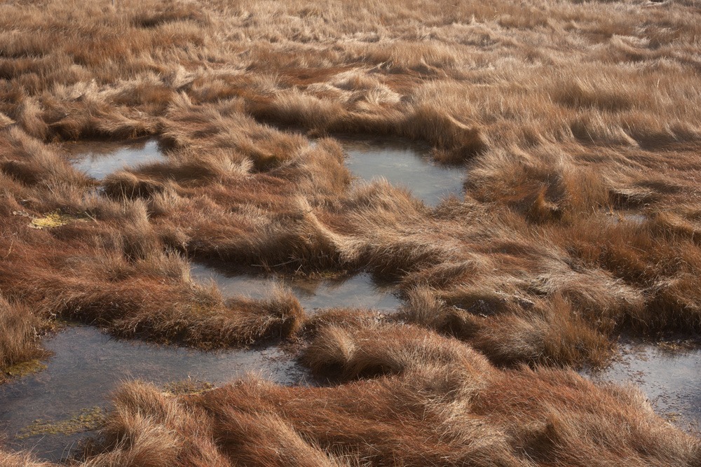 122_Fautsch Zertuche_vignette03