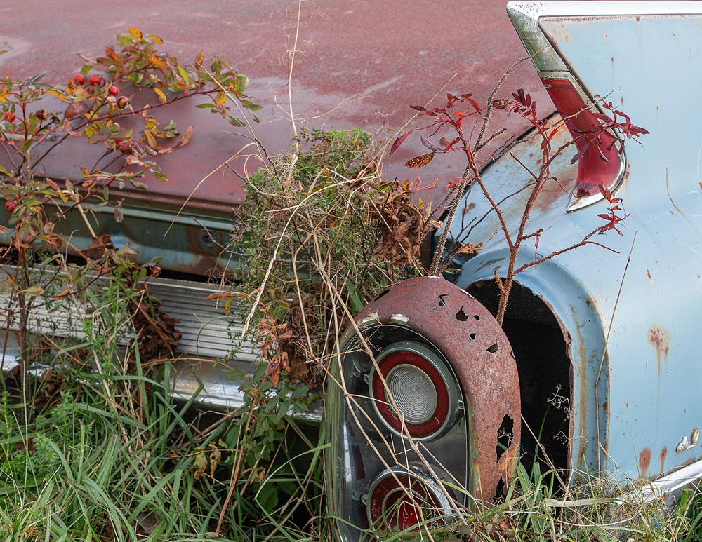 122_Fautsch Zertuche_vignette05