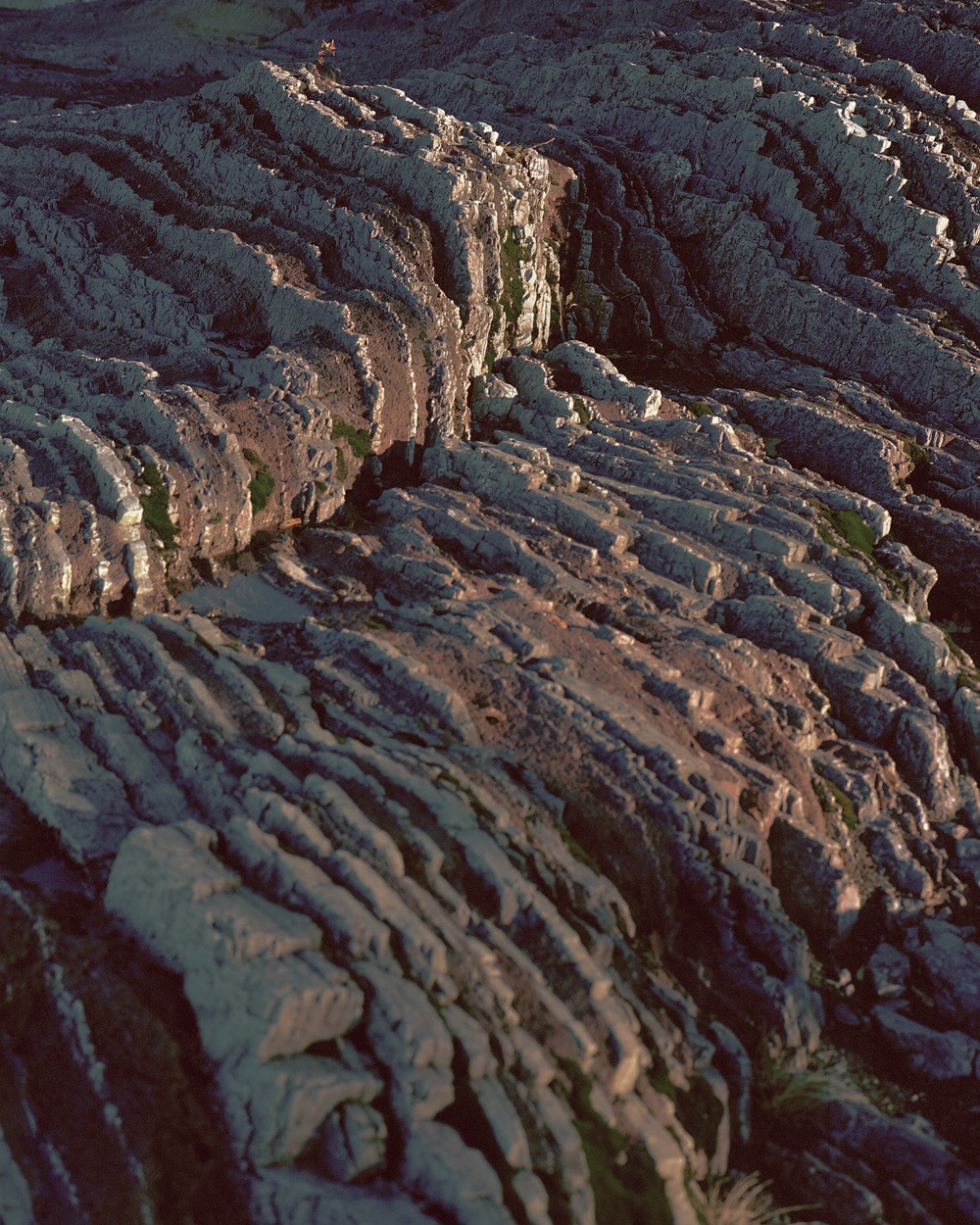 122_Morin_vignette04