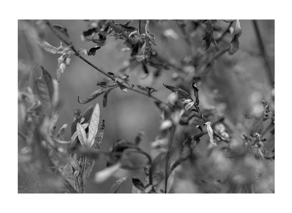 122_Thérien-Tremblay_Vignette03