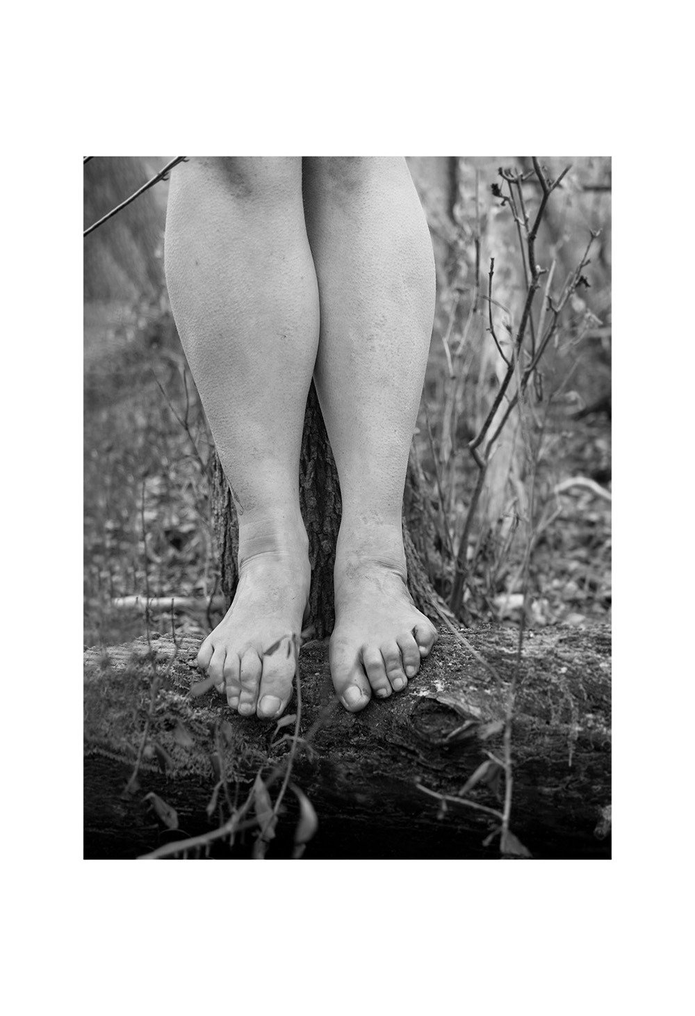 122_Thérien-Tremblay_Vignette05