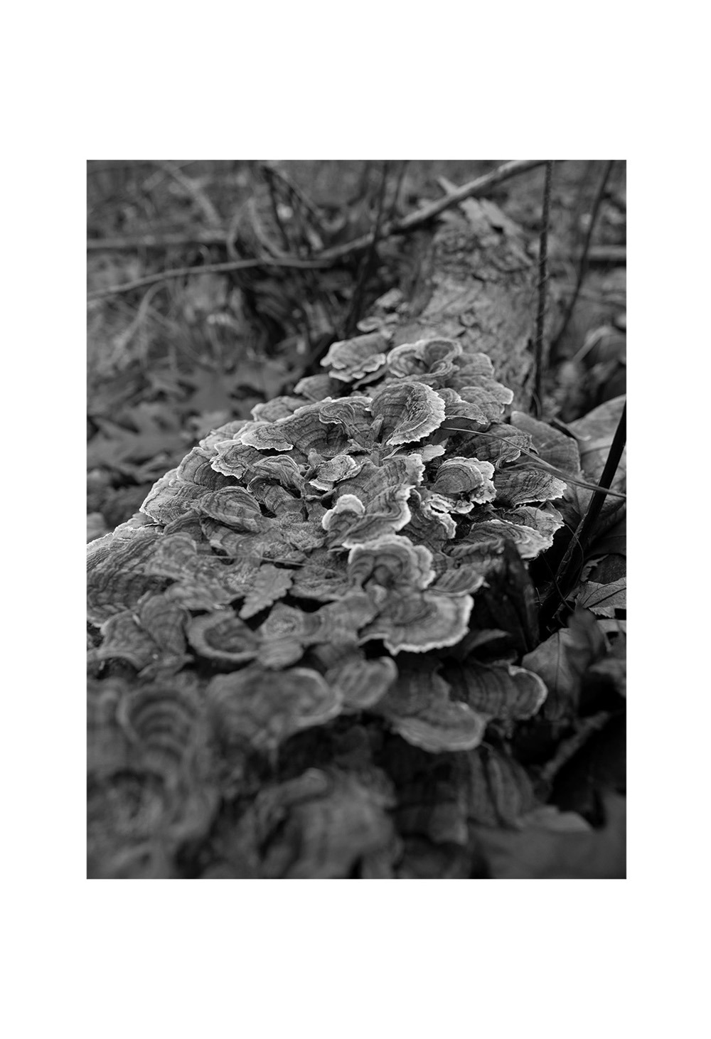 122_Thérien-Tremblay_Vignette06