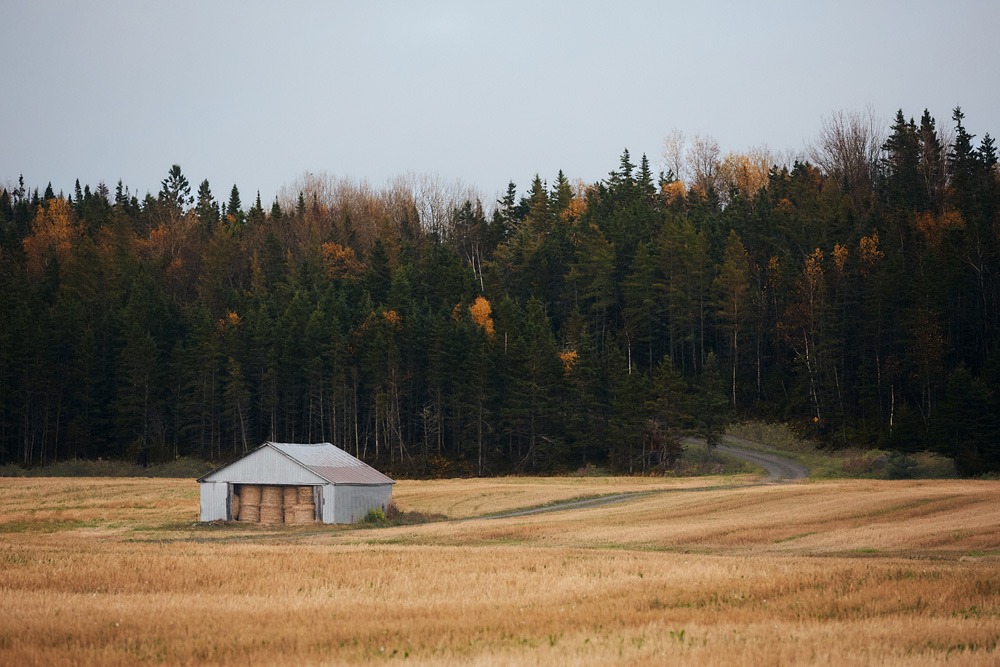 122_jenniferjeanson_vignette02