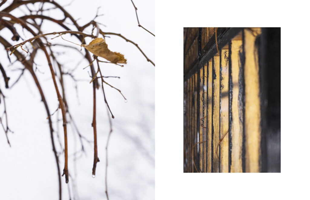 Projet de fin d&rsquo;études : premier exercice !