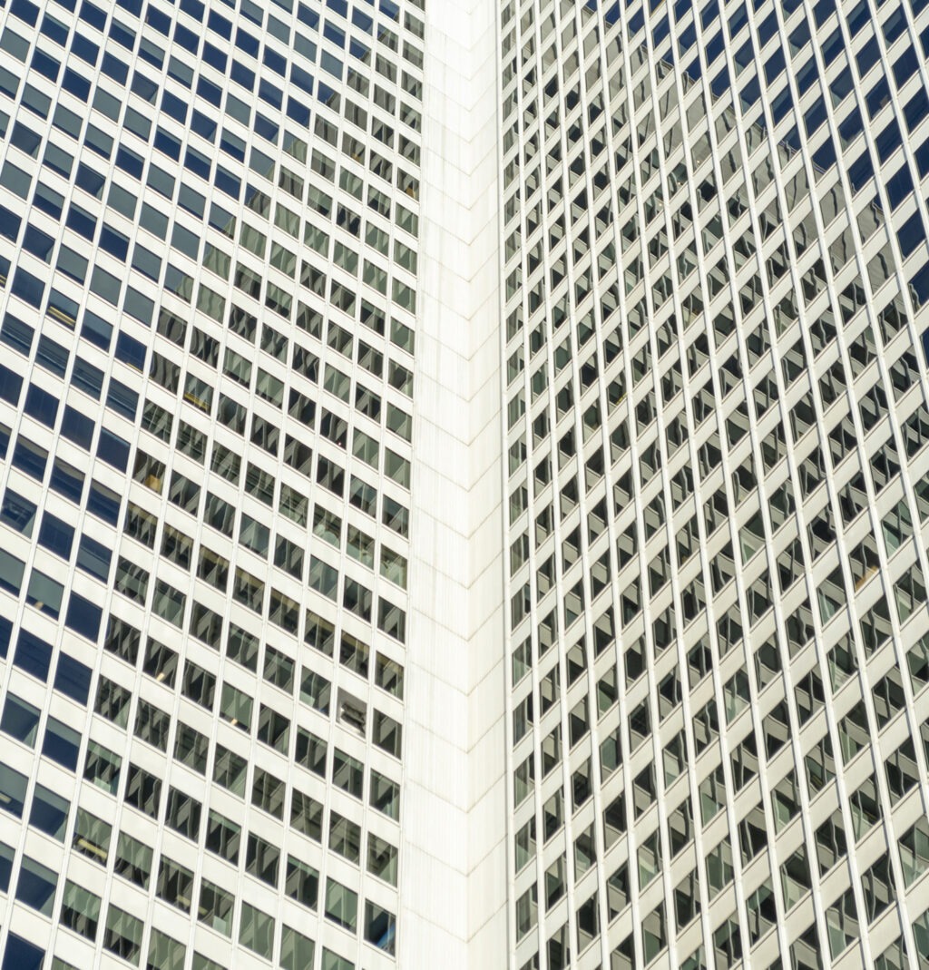 223_Fernandez_vignette01