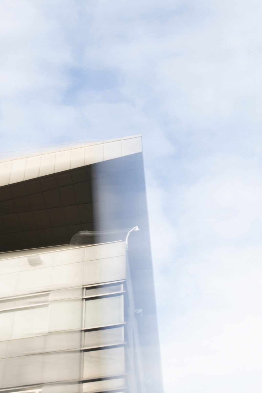 223_Fernandez_vignette02