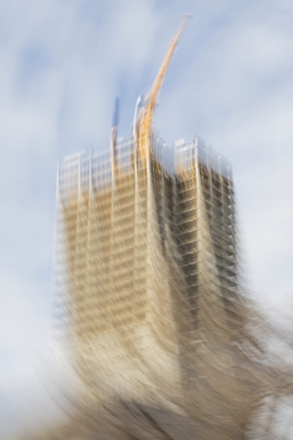 223_Fernandez_vignette03