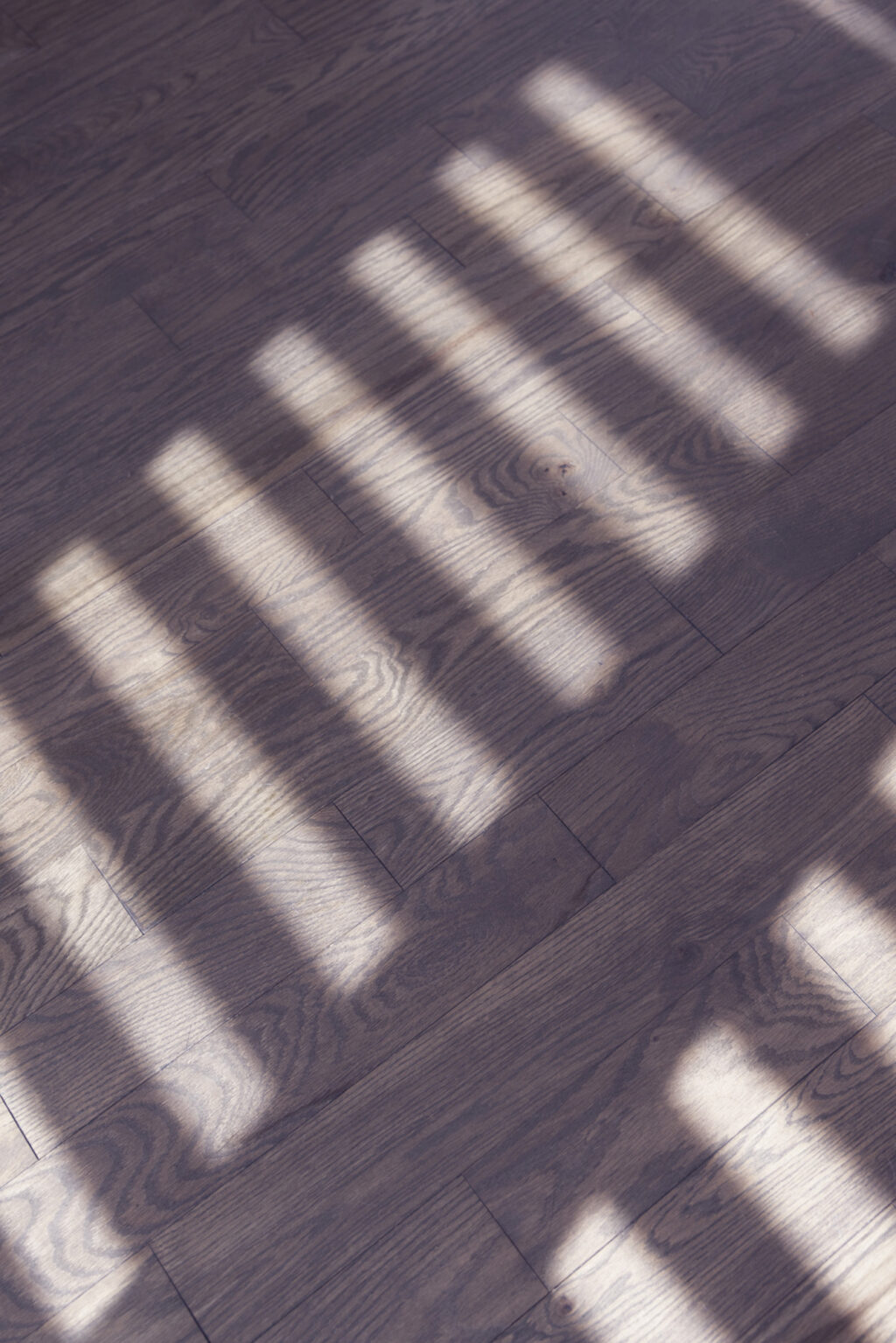 223_alycialavoie_vignette05