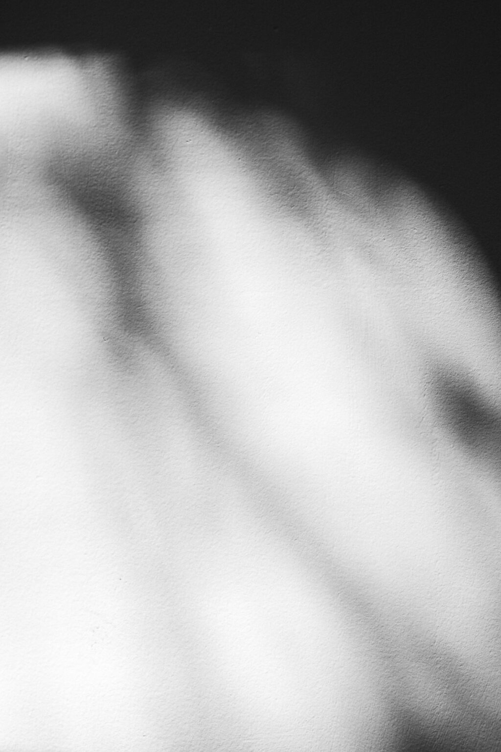 223_mathildevassal_vignette01