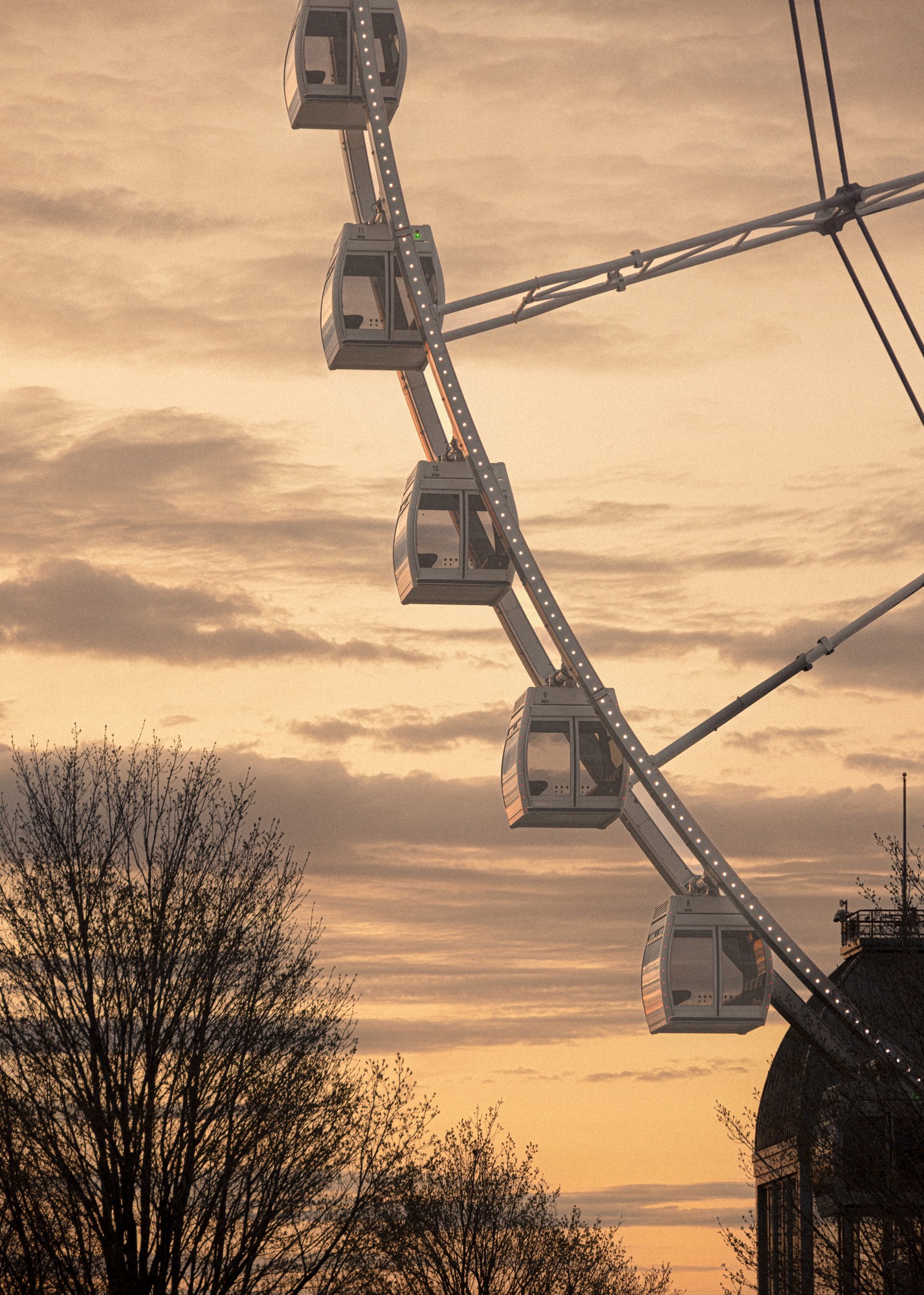 _46a1250-modifier-13x19