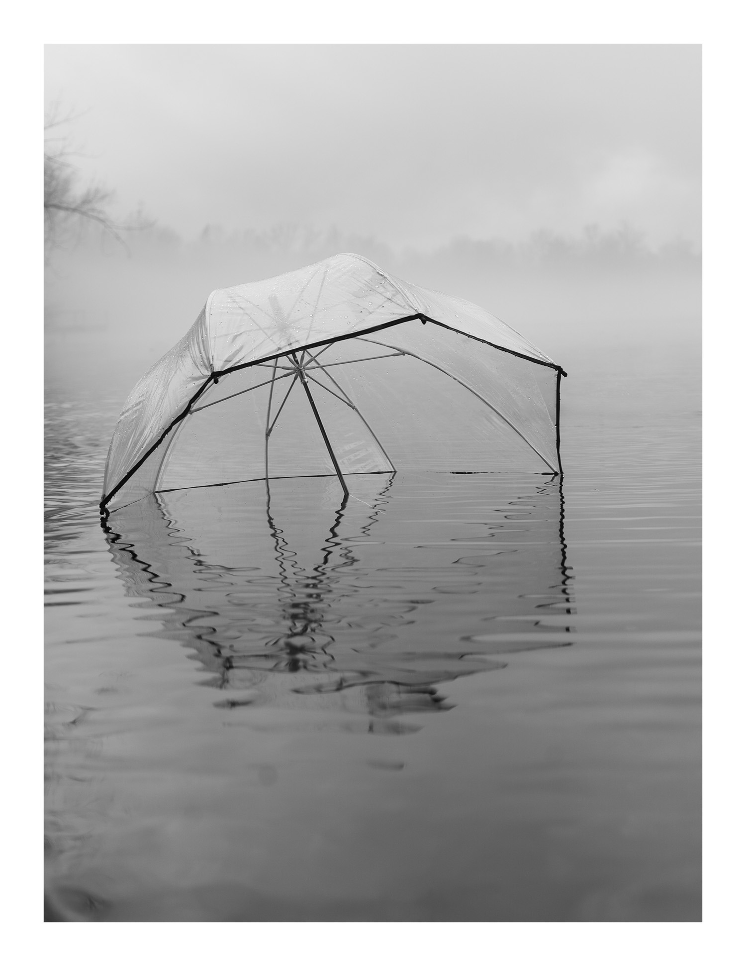 parapluie