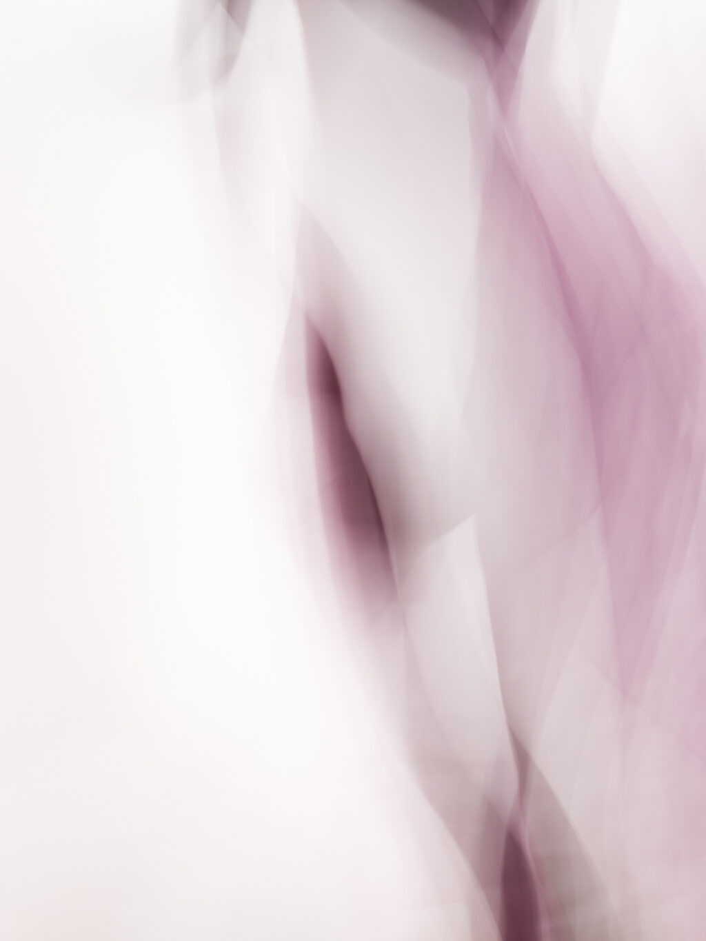 124_ArianeSt-PierreBeaupré_vignette06