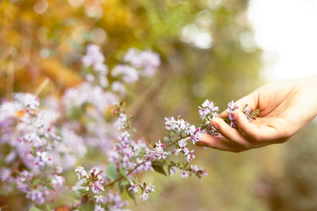 124_KatarinaVocisano_Vignette03